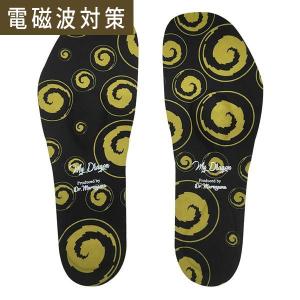 模型 バッキーボール 組立式 カタカムナ ユニカ 医学博士 丸山修寛