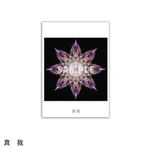 クスリエ 10枚入 ユニカ 医学博士 丸山修寛 監修の詳細画像2