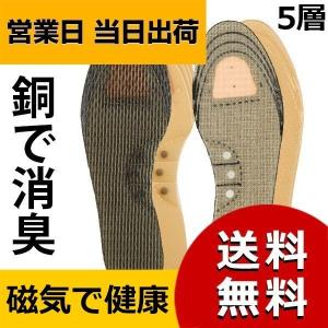 リフレソール 中敷き インソール 消臭 衝撃吸収 5層 24.5-28.0cm用｜asiantyphooon