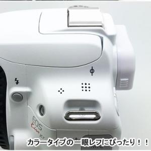 ホットシューカバー 一眼レフ ミラーレス用 ホ...の詳細画像2