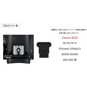 ホットシューキャップ EOS R100 R50...の詳細画像4