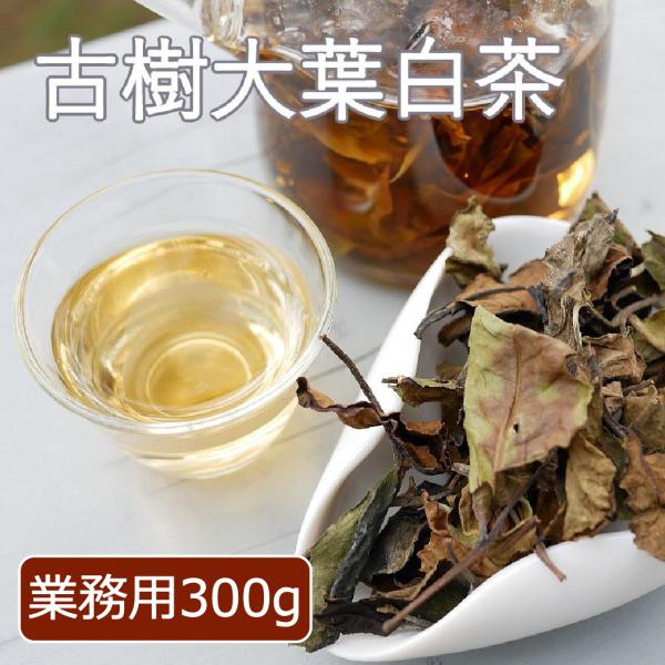 タイ 古樹大葉白茶 タイ白茶 タイティー 白茶300g