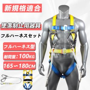 フルハーネス安全帯 新規格 セット 2丁掛け 巻き取り式