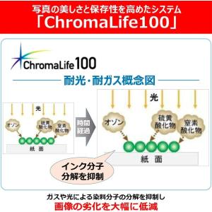 キャノン 純正 プリンターインク カートリッジ...の詳細画像5