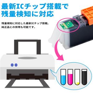 BCI-19BK 3個+BCI-19CLR 3...の詳細画像2