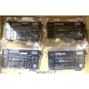 IB09CL4B エプソン EPSON 大容量...の詳細画像2