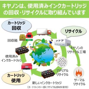 Canon キャノン 純正 インクカートリッジ...の詳細画像5