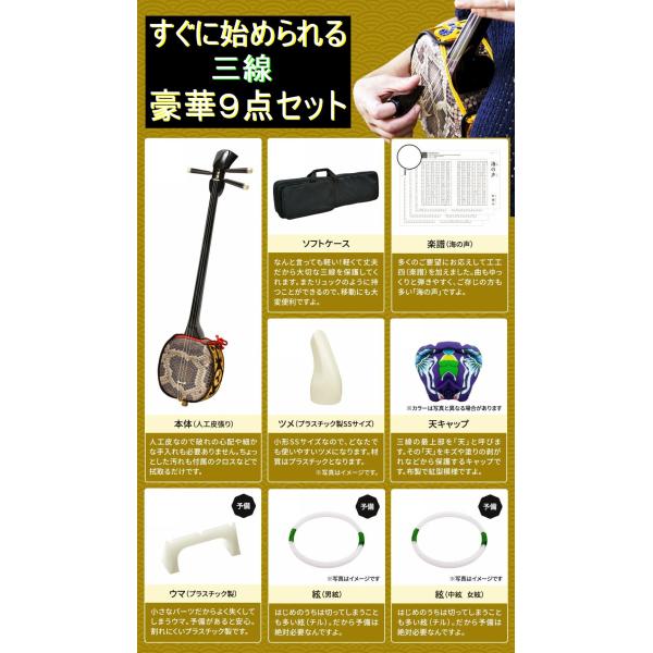 三線 手作り三線 初心者向け 高級中型三線 9点セット 特別ご奉仕セット 三線本体 ソフトケース 楽...