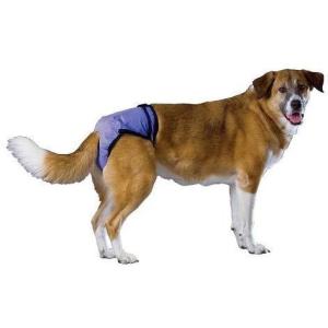 プーチパンツ(洗えるオムツ）　　ＸＬサイズ　　