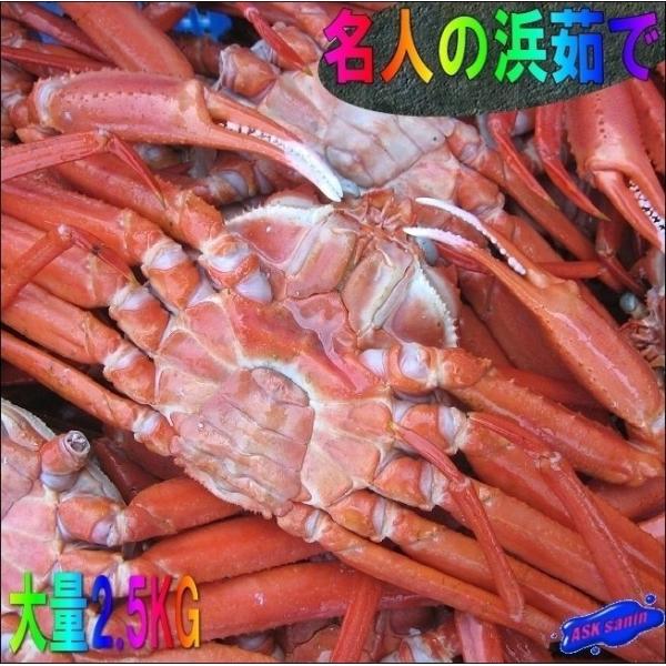 名人の浜茹で蟹　L-2.5kg　釜揚げ直送!!　(紅ずわい蟹)