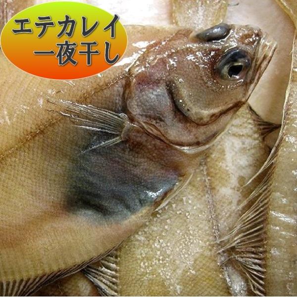 カレイ一夜干し10枚前後で1.5kg（エテカレイ）　カレイ　かれい　鰈