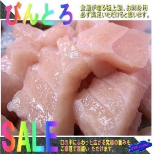 トロビンチョウ1kg位　まぐろ　マグロ　鮪　びんちょう　ビンチョウ　びんとろ　ビントロ　