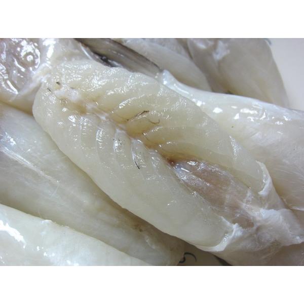 ふぐ刺し用「真河豚みがき1kg」霜降造り、てっさ、ふぐちり...皮無・ドレス/国産