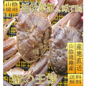 (予約販売11月中旬頃発送)活松葉蟹特選1kgセット(2杯　足折れ1、2本ナシ)　かに　カニ　すわい　ズワイ　松葉ガニ