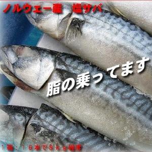 ノルウェー ”塩鯖開き” 訳あり 16〜20尾前後 約8kg 背開き 塩