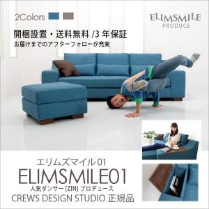 ソファー 収納付　ソファー ソファ カウチ エリムズマイル01 ソファ本体 3人掛け TD L字 コーナー CASACASA ELIMSMILE ダンサーZIN perof