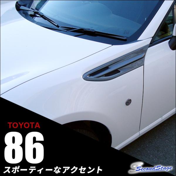 後期フェンダーガーニッシュ カーボン調