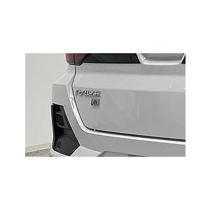 RAIZE（ライズ）LM バッジ