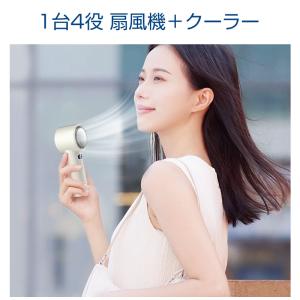 「ポイント+クーポンで2,688円」ハンディフ...の詳細画像4