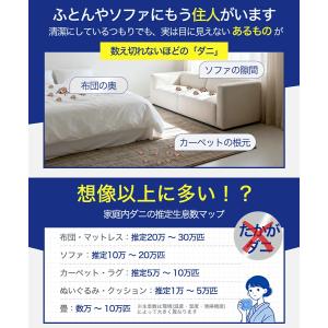 「クーポンで690円」ダニ取りシート ダニ 天...の詳細画像2