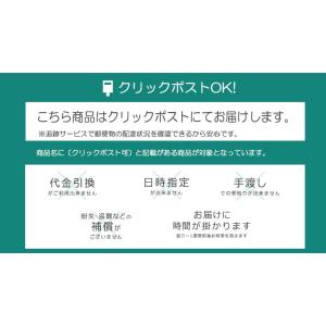 送料無料 チェストベルト リュック リュックサ...の詳細画像5