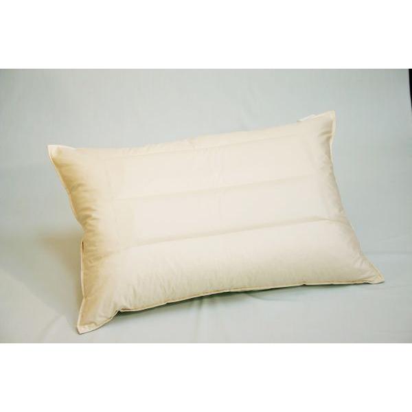 アクアピロー　ソフィア　2型（35cm×50cm）