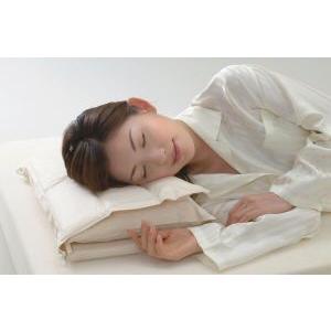 寝苦しい夜にひんやり枕 アクアピロー春夏秋冬