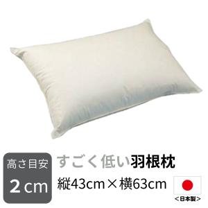 抗菌防臭加工無料 ダウン50％ 43×63cm ダウンピロー フェザー50％ 日本