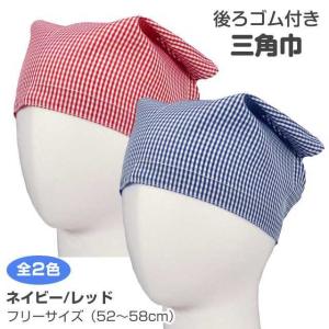 (ゆうパケット送料無料)三角巾 ゴム付 子供 男...の商品画像