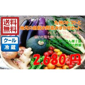 【送料無料】九州のトマトと地元新鮮お野菜おまかせセット