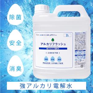 強 アルカリ電解水 アルカリフラッシュ 2000ml 2L スプレー