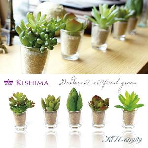 KISHIMA　キシマ　リトルサキュレントファミリー　消臭アーティフィシャルグリーン　KH-60989　鉢植え　サボテン　多肉植物　CT触媒加工　抗菌　防汚　消臭　造