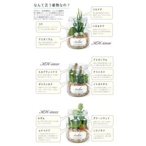 KISHIMA キシマ エクリア 消臭アーティ...の詳細画像1