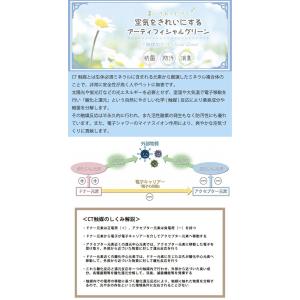 KISHIMA キシマ エクリア 消臭アーティ...の詳細画像3