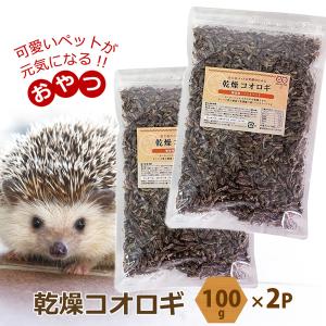 乾燥 コオロギ 100g 2個セット 約2000匹〜2400匹 ドライコオロギ イエコオロギ 爬虫類...