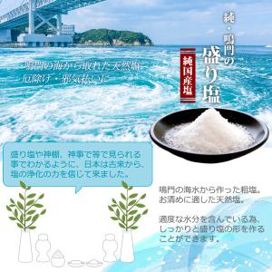純 鳴門の盛り塩 900g 清めの塩 お清め ...の詳細画像1