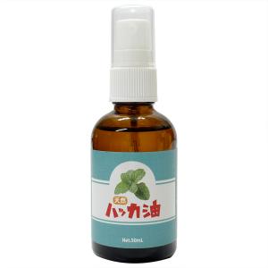 シナジー ペパーミントオイル Synergy PEPPERMINT OIL （香油） : イイ
