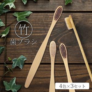 竹歯ブラシ(ふつう)84本 竹歯ブラシ 12本セット 4色×3セット 大人用 BOX付 自然素材 竹