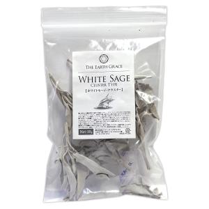 ホワイトセージ ドライハーブ 1kg カリフォルニア産 Salvia apiana