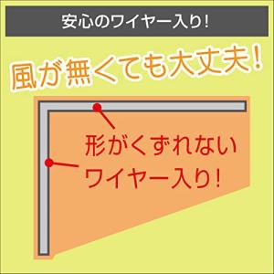 BMO フラッグ B ワイヤー入り 魚マーク(...の詳細画像1