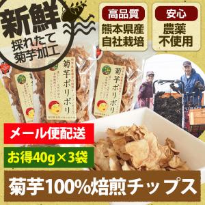 菊芋ポリポリ 40g入り スイーツ感覚 お菓子 菊芋 チップス イヌリン 水溶性食物繊維 国産 砂糖 塩 農薬不使用の商品画像