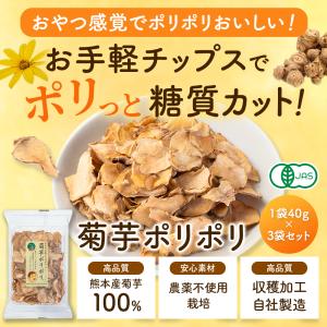 菊芋ポリポリ 40g入り お得3袋セット スイ...の詳細画像1