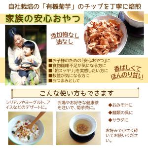 オーガニック菊芋ポリポリ 40g入り お得3袋...の詳細画像1