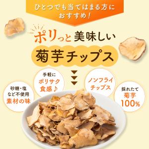 菊芋ポリポリ 40g入り お得3袋セット スイ...の詳細画像3