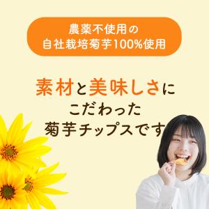 菊芋ポリポリ 40g入り お得3袋セット スイ...の詳細画像4