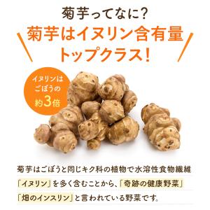 菊芋ポリポリ 40g入り お得3袋セット スイ...の詳細画像5