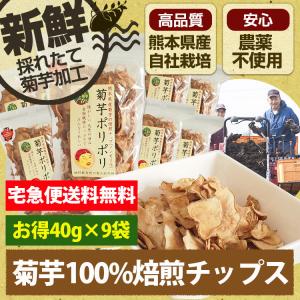 菊芋ポリポリ 40g入り お得9袋セット スイーツ感覚 お菓子 菊芋 チップス イヌリン 水溶性食物繊維 国産 砂糖 塩 農薬不使用｜asoshizen