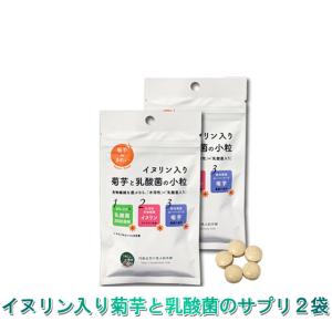 ROTTS 2個セット FK-23 濃縮 乳酸菌 サプリメント 乳酸菌5000生酵素
