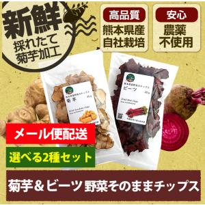 菊芋チップス ビーツチップス 選べる2袋 セット レシピ付き