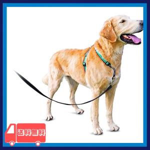 PetSafe 3 in 1 犬 ハーネス 大型犬 引っ張り防止 調整簡単 抜けない 耐久性が高い 夜間反射 車の中で安全 ティール Dogs Lサイズ